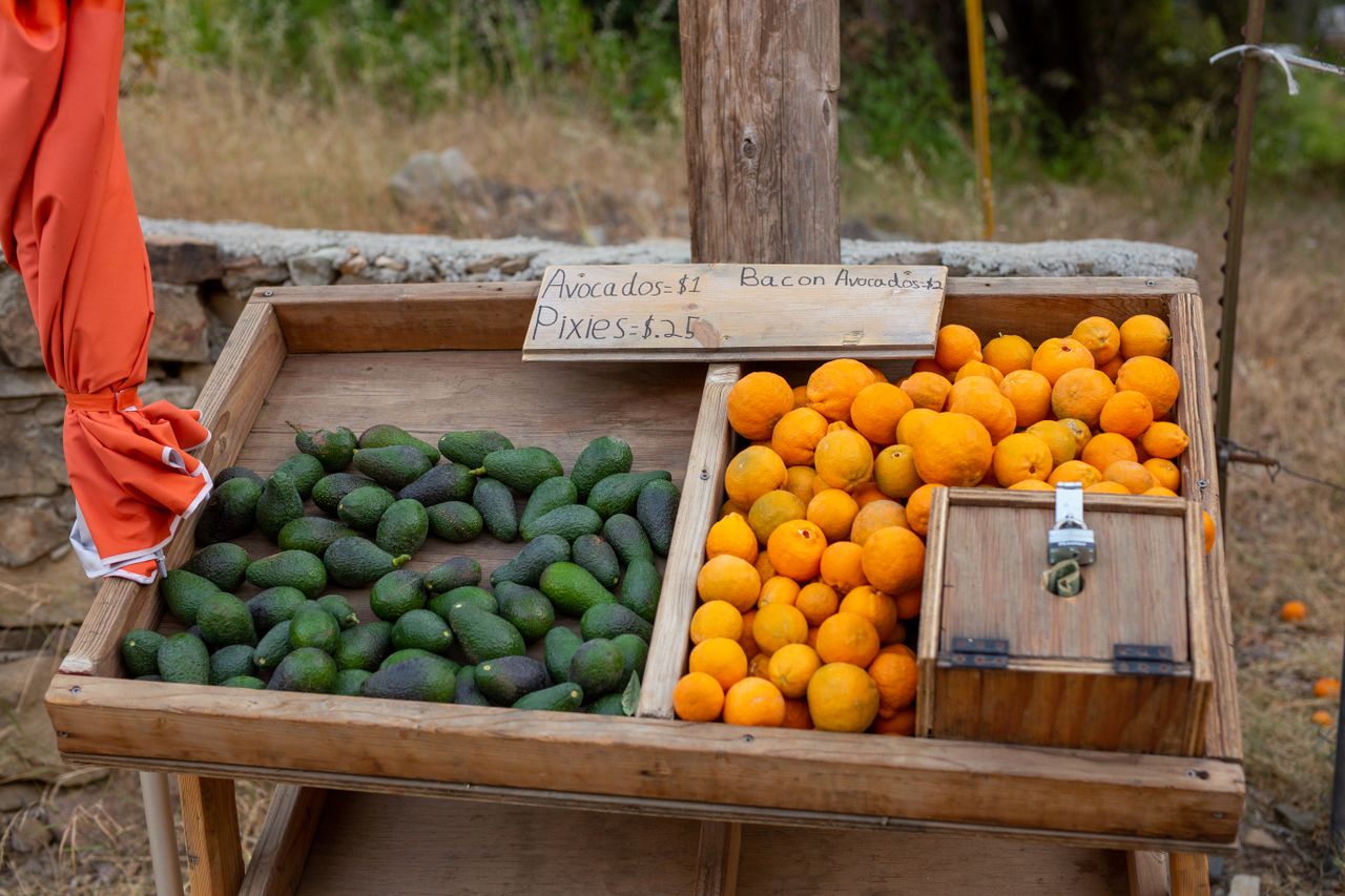 Fresh avocados and citrus fruits at a rustic outdoor market stand.
