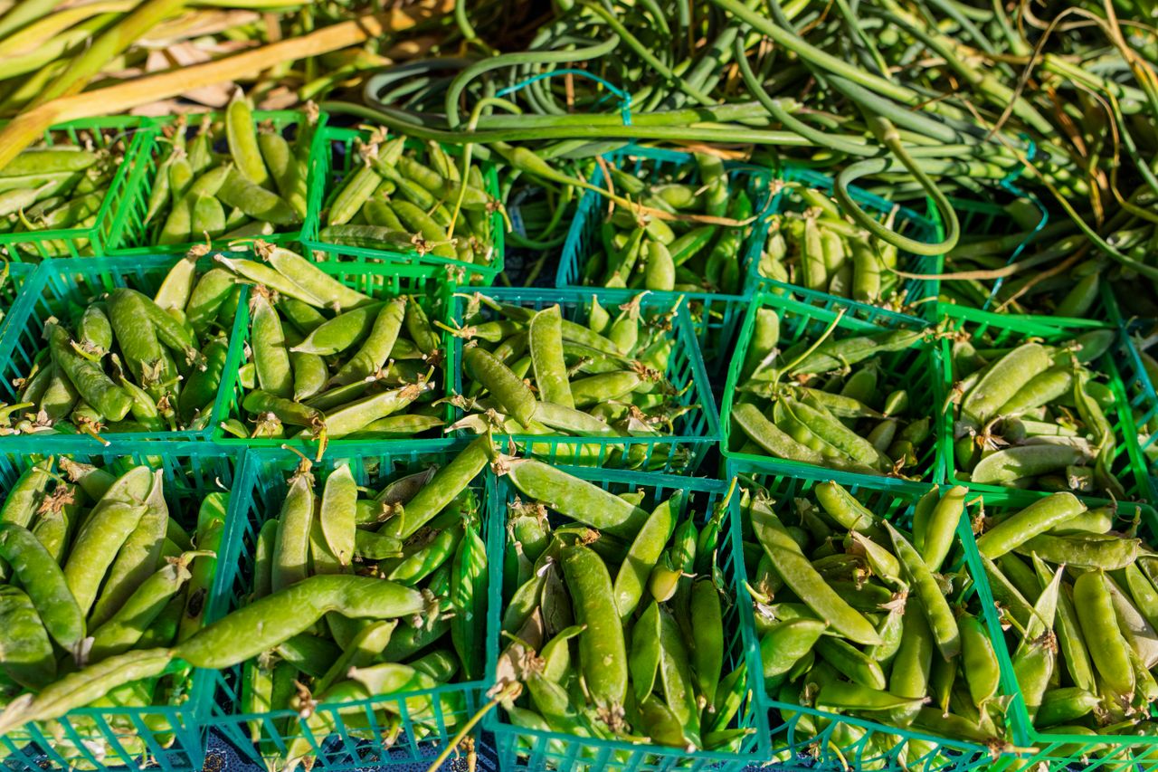 Vibrant green peas displayed in baskets, perfect for healthy eating or garden inspiration.